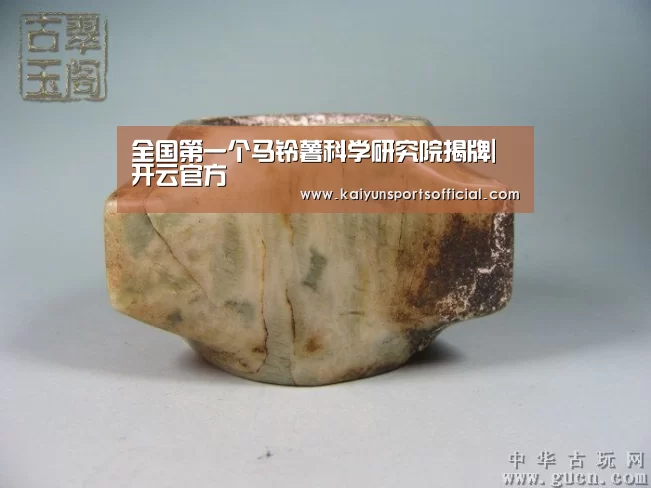 全国第一个马铃薯科学研究院揭牌|开云官方(图3) 开云体育