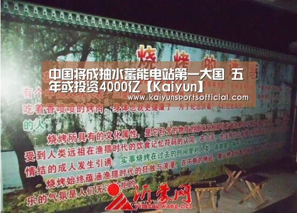 开云竞猜