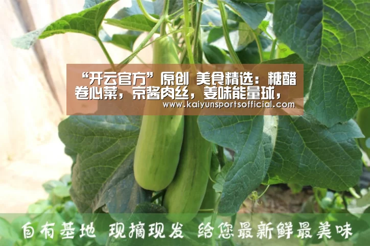 “开云官方”原创 美食精选:糖醋卷心菜,京酱肉丝,姜味能量球,肉末香辣土豆的做法(图2) 开云官方