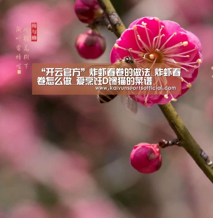 “开云官方”炸虾春卷的做法_炸虾春卷怎么做_爱烹饪D馋猫的菜谱(图3) 开云官方